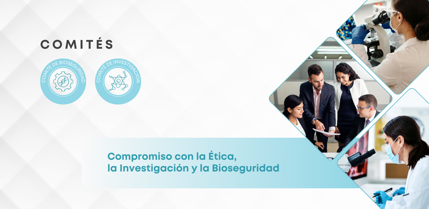 Comité de Investigación